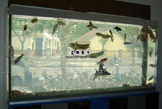 亞克力魚缸