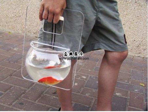 手提的亞克力魚缸